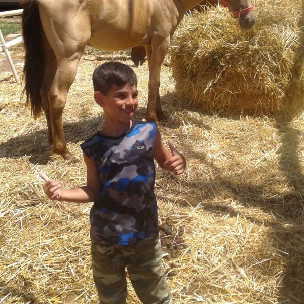 העצמה רגשית לילדים בעזרת סוסים
